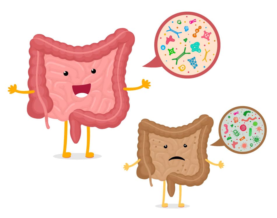 Whats-the-difference-between-good-and-bad-gut-bacteria-We-explain